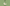 MMD Matcha v3 ($0.26/Switch)